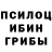 Псилоцибиновые грибы GOLDEN TEACHER Palla Pallaev
