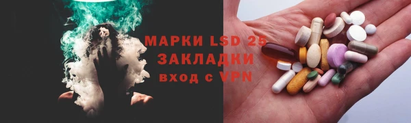 прущие грибы Алзамай