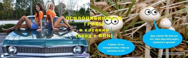 ECSTASY Алексеевка