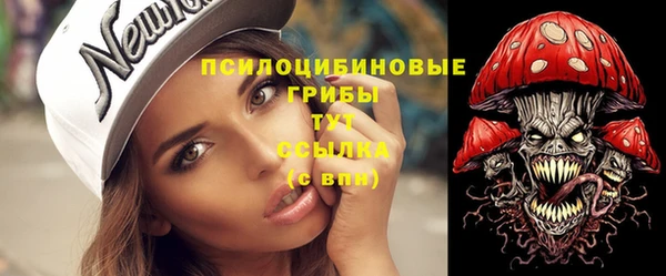 ECSTASY Алексеевка