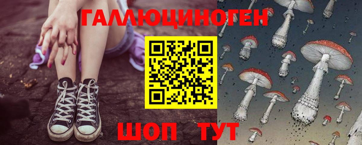 Галлюциногенные грибы Psilocybe  Вход с VPN  Галлюциногенные грибы мухоморы  Ливны 